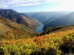 Entorno de La Molinera - Imagen  3